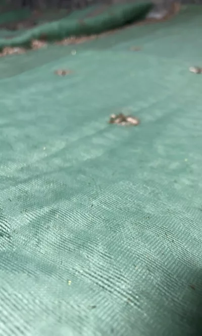 Best Asian and Pakistani Clothes Online. A popular UK provider of Fashion, with luxury and designer brands in clothing, for all occasions.